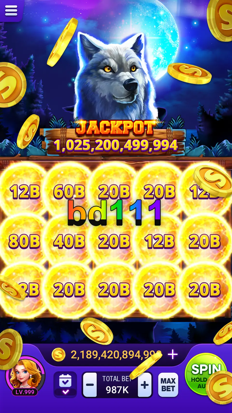 bd111 লগইন